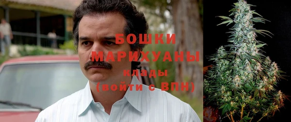 PSILOCYBIN Вязники