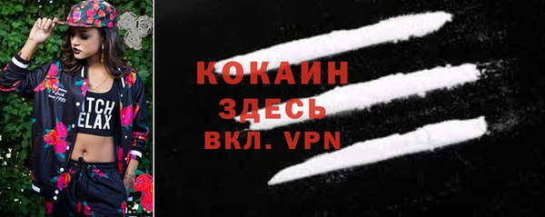 PSILOCYBIN Вязники