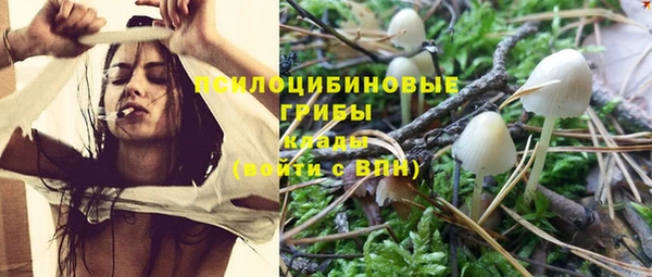 таблы Вяземский