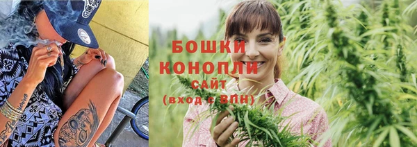 PSILOCYBIN Вязники