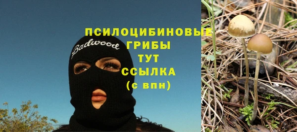 таблы Вяземский