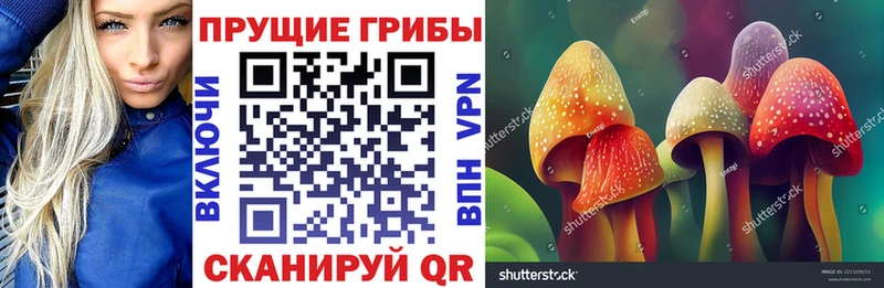 Псилоцибиновые грибы мухоморы  Рыбное 